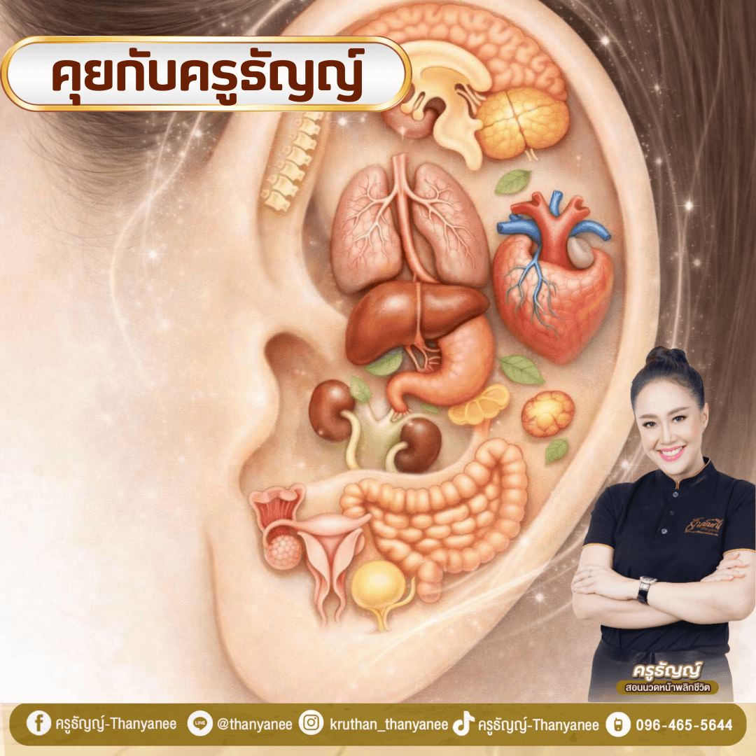 ศาสตร์แห่งใบหู: จุดสะท้อนอวัยวะสำคัญ สู่ทางลัดหน้าเรียวใสและสุขภาพดี
